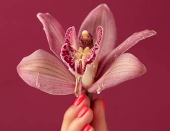 Olor vaginal Olor vaginal